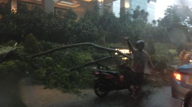 Jakarta Dikepung Banjir, Pohon-Pohon Juga Bertumbangan Jakarta Dikepung Banjir, Pohon-Pohon Juga Bertumbangan