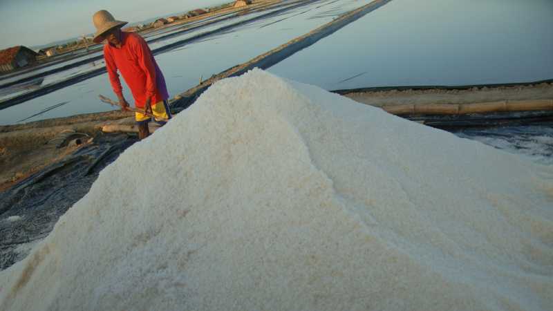 Garam Langka, Mendag Buka Keran Impor 75 Ribu Ton