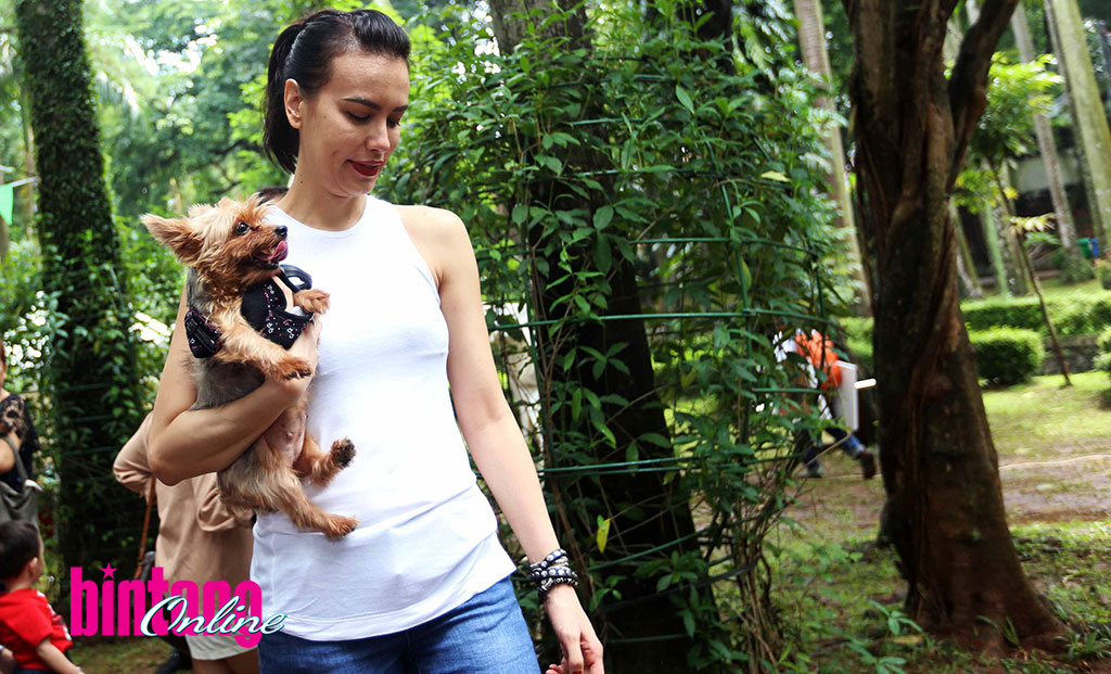 Sophia Latjuba Belikan Kursi Roda untuk Anjing yang Terpotong Kaki Depannya