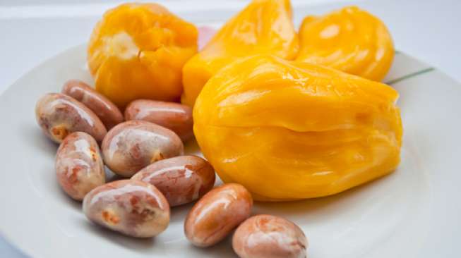 Wah, Biji Nangka Bakal Jadi Pengganti Cokelat? Wah, Biji Nangka Bakal Jadi Pengganti Cokelat?