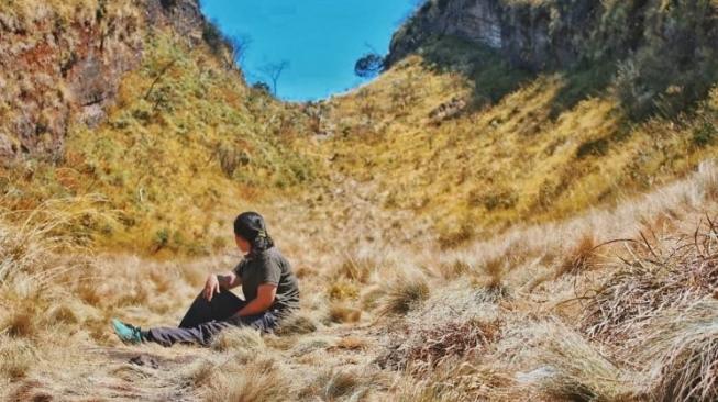 Instagramable, Pesona Gunung Lawu Sebelum Dilalap Si Jago Merah Instagramable, Pesona Gunung Lawu Sebelum Dilalap Si Jago Merah