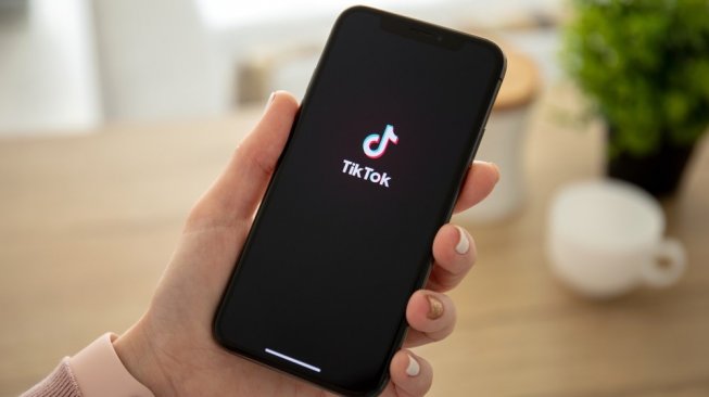 Aplikasi Tiktok Dilarang di India Aplikasi Tiktok Dilarang di India