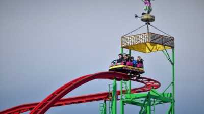 Penuhi Permintaan Anak, Ayah Ini Bangun Roller Coaster di Halaman Rumah