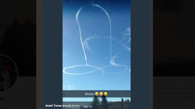 Pilot Gambar Penis Raksasa di Langit, Angkatan Laut AS Minta Maaf