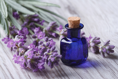 Tips Meredakan Migrain dengan Minyak Lavender Tips Meredakan Migrain dengan Minyak Lavender