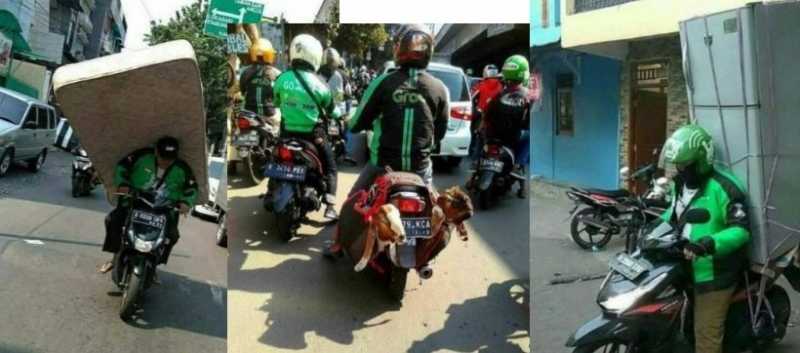 5 Potret Perjuangan Driver Ojek Online Antar Barang Tak Lazim 5 Potret Perjuangan Driver Ojek Online Antar Barang Tak Lazim