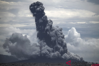 Gunung Anak Krakatau Alami 15 Kegempaan Letusan Hingga Minggu pagi Gunung Anak Krakatau Alami 15 Kegempaan Letusan Hingga Minggu pagi