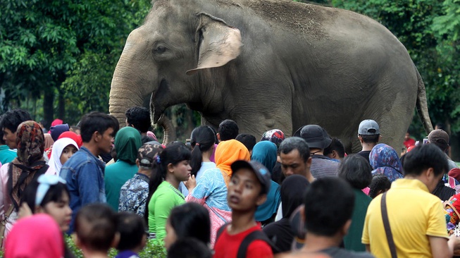 Kok Bisa Pengunjung Margasatwa Ragunan Tak Dapat Asuransi?