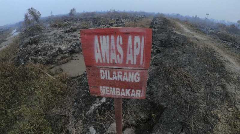 BNPB: Fenomena Langit Merah Jambi Disebabkan Hamburan Mie