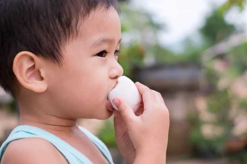 Bolehkah Anak Sarapan Telur Setiap Hari?