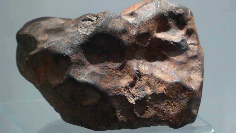 Sudah Dimasukkan Kulkas karena Dikira Meteor, Ternyata Tinja Beku Sudah Dimasukkan Kulkas karena Dikira Meteor, Ternyata Tinja Beku