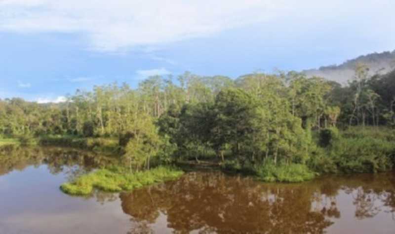 Danau Tambing Wisata Favorit Kalangan Muda Danau Tambing Wisata Favorit Kalangan Muda