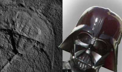 Fosil Kepiting Purba Ini Mirip Darth Vader