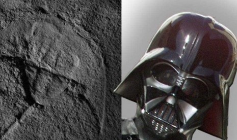Fosil Kepiting Purba Ini Mirip Darth Vader Fosil Kepiting Purba Ini Mirip Darth Vader