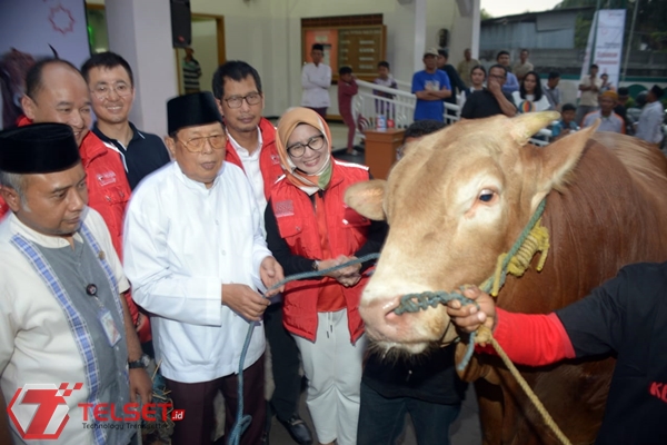 Telkomsel Serahkan 751 Hewan Kurban di Idul Adha 1440 H