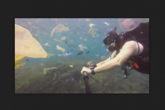 Ini tanggapan KLHK soal video sampah laut Bali unggahan Horner Ini tanggapan KLHK soal video sampah laut Bali unggahan Horner