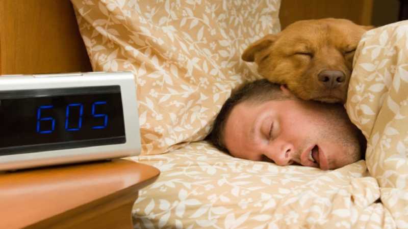 Selalu Mengantuk di Siang Hari? Mungkin Anda Mengidap Hypersomnia Selalu Mengantuk di Siang Hari? Mungkin Anda Mengidap Hypersomnia
