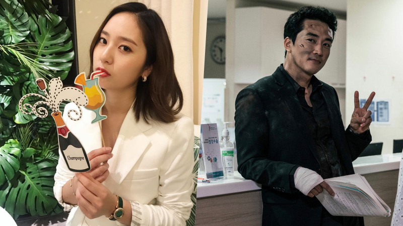 Krystal f(x) dan Song Seung-heon Konfimasi Tampil di Drama Player