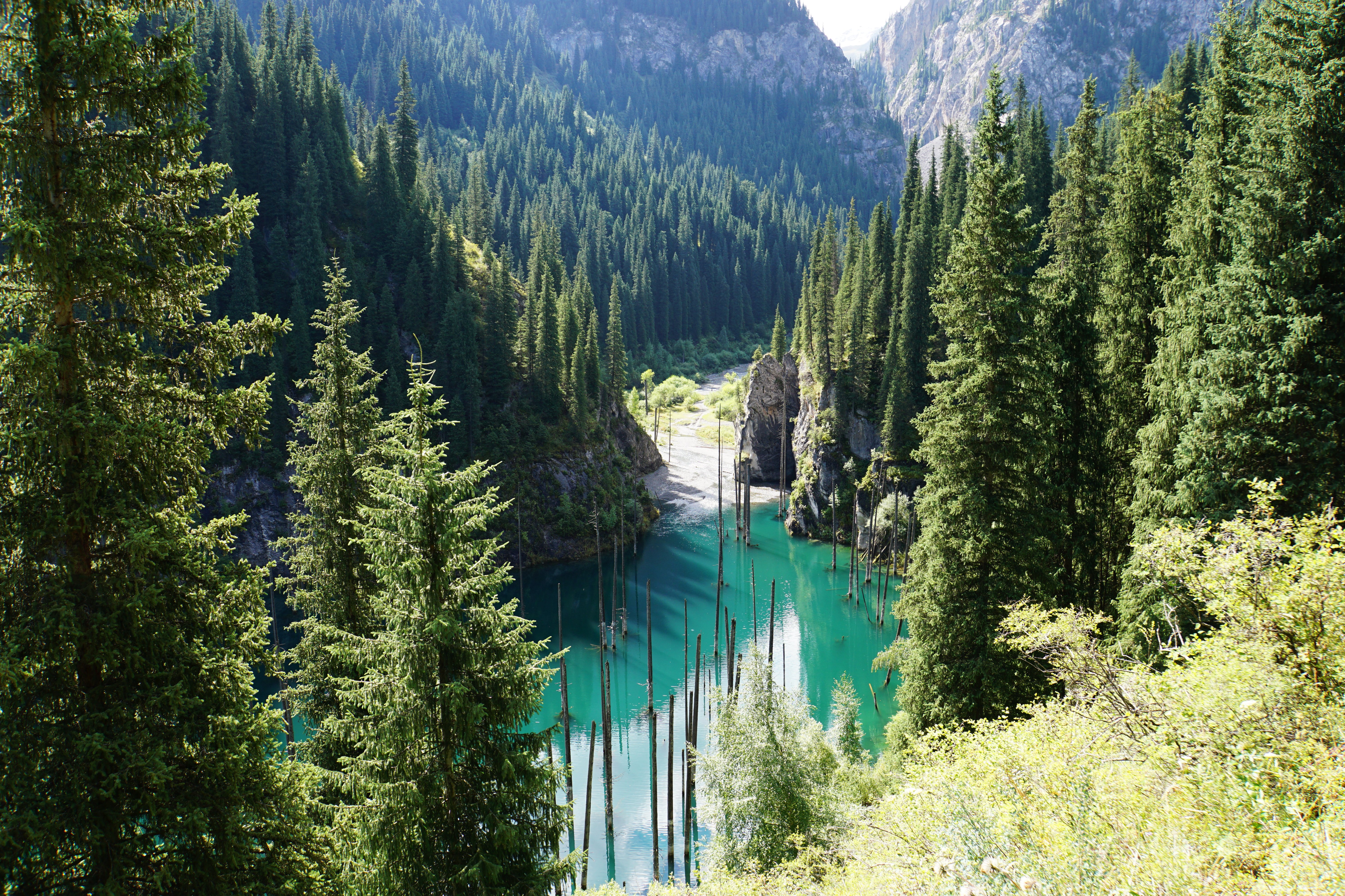 Uniknya Danau Kaindy yang Punya Hutan di Dalam Airnya
