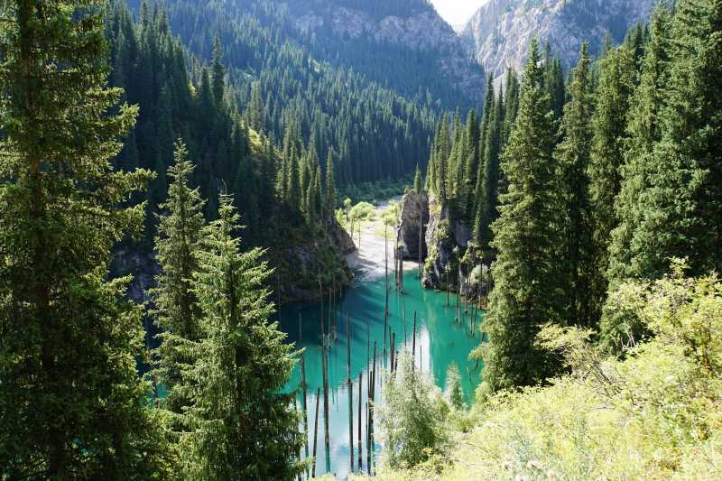 Uniknya Danau Kaindy yang Punya Hutan di Dalam Airnya