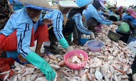 Bantu Nelayan, Mahasiswa Buat Aplikasi Penjualan Ikan