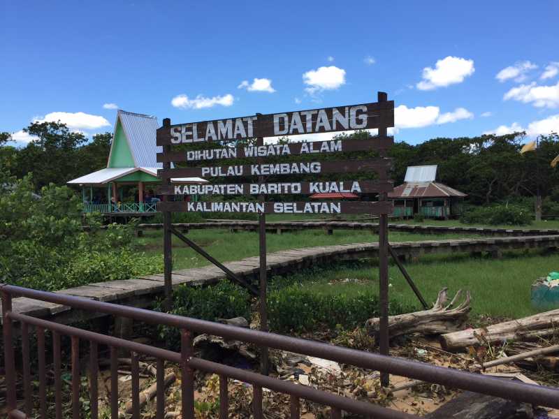 Pulau Kembang, Wisata Kera Berbalut Ziarah di Sungai Barito Pulau Kembang, Wisata Kera Berbalut Ziarah di Sungai Barito