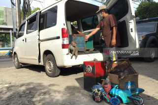 Sekolah topeng monyet harus segera ditutup