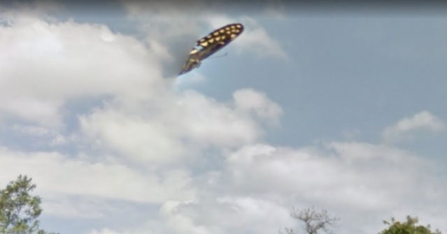 Pengguna Google Maps Tak Sengaja Lihat ‘UFO’ di Siang Bolong Pengguna Google Maps Tak Sengaja Lihat ‘UFO’ di Siang Bolong