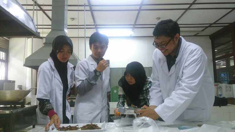 Camilan Stik Bawang Temuan IPB Bikin Perempuan Bebas Baper saat PMS Camilan Stik Bawang Temuan IPB Bikin Perempuan Bebas Baper saat PMS