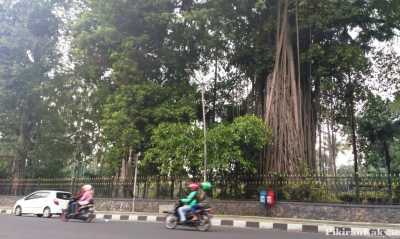 Kebun Raya Bogor Akan Dibuat Kian Instagramable