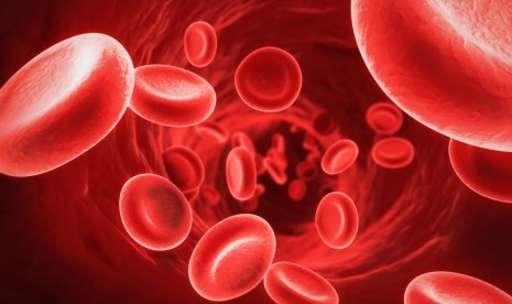 Anemia Bisa Disebabkan oleh Cacing dan Malaria Anemia Bisa Disebabkan oleh Cacing dan Malaria