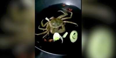 Kepiting Direbus Bukannya Mati, Eh Malah Asyik Nyemil Bumbu