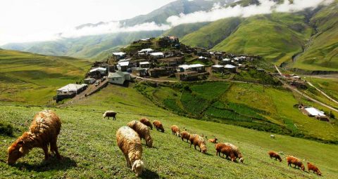 Liburan Makin Fresh! Desa Mungil di Azerbaijan Ini Dipenuhi Kebun Hijau Mempesona