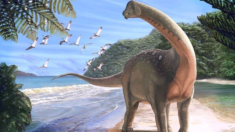 Dinosaurus Raksasa Jenis Baru Ditemukan di Mesir Dinosaurus Raksasa Jenis Baru Ditemukan di Mesir