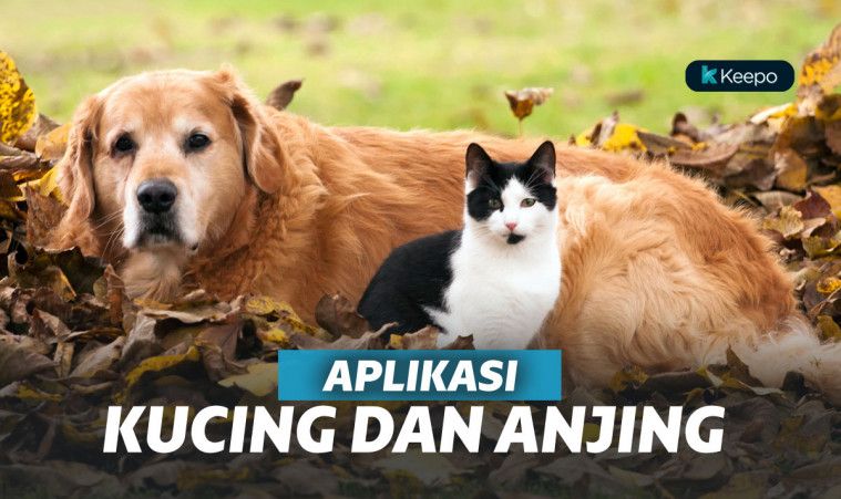 5 Aplikasi Kucing dan Anjing di Android Terbaik