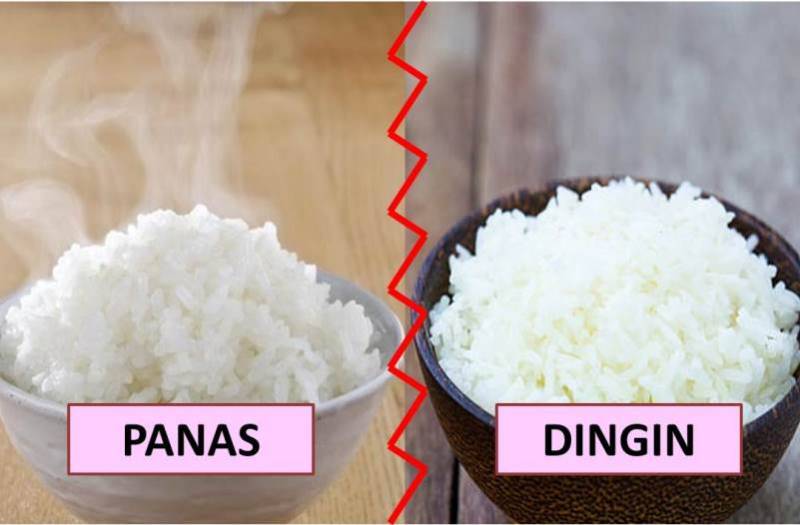 Nasi Panas vs Nasi Dingin, Lebih Sehat yang Mana Kira-kira? Cari Tahu di Sini! Nasi Panas vs Nasi Dingin, Lebih Sehat yang Mana Kira-kira? Cari Tahu di Sini!