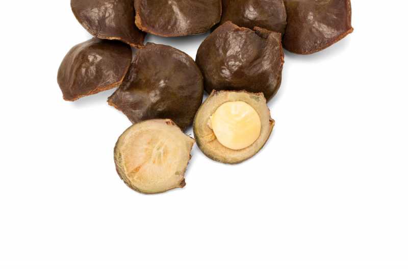 Ini Akibatnya Kalau Terlalu Banyak Makan Jengkol Ini Akibatnya Kalau Terlalu Banyak Makan Jengkol