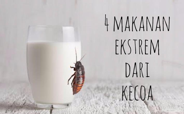 4 Makanan Ini Dibuat dari Kecoa, Berani Coba? 4 Makanan Ini Dibuat dari Kecoa, Berani Coba?