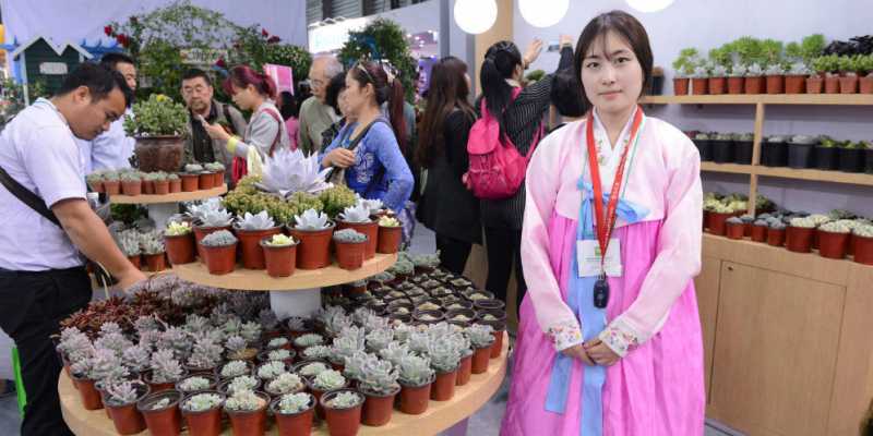 Melihat Langsung Pameran Bunga Terbesar di Tiongkok