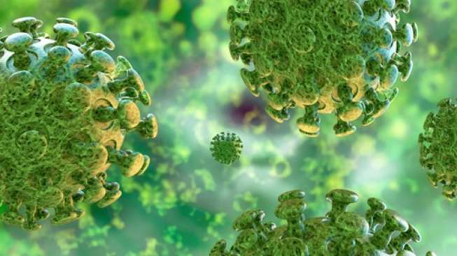 Ini Penjelasan Mengapa Penyakit Zoonosis Sangat Berbahaya Ini Penjelasan Mengapa Penyakit Zoonosis Sangat Berbahaya