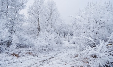 Melawan Galau Musim Dingin Alias Winter Blues