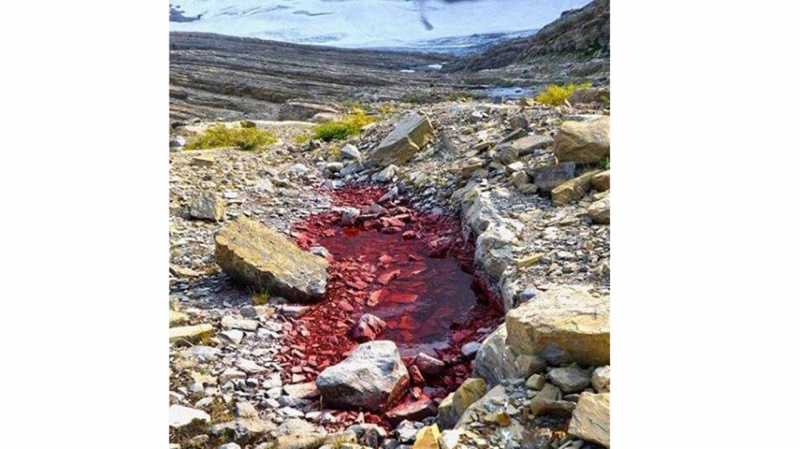 Salju Semangka Turun di Montana, Amerika Serikat Salju Semangka Turun di Montana, Amerika Serikat