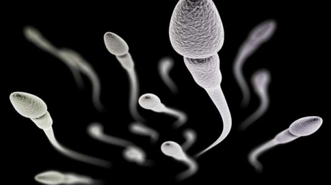 Sperma Ternyata Bisa Hidup hingga Dua Hari di Mulut