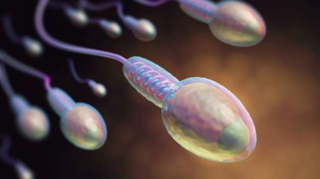 Sperma Bisa Bantu Obati Kanker Lho Sperma Bisa Bantu Obati Kanker Lho
