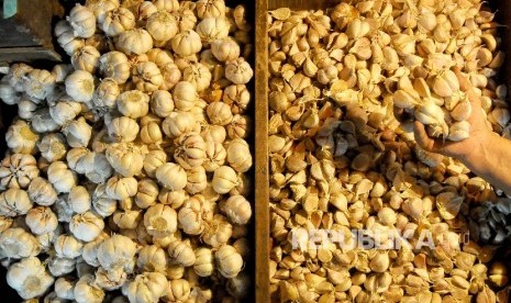 Terungkap, Pabrik Bawang Putih Pakai Pemutih Terungkap, Pabrik Bawang Putih Pakai Pemutih