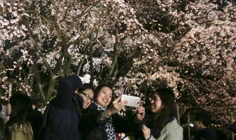 Bunga Sakura Bisa Deteksi Perubahan Iklim