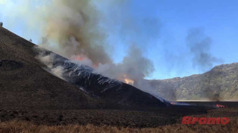 Belum Bisa Dikendalikan, Kebakaran Bromo Meluas hingga 70 Hektare Belum Bisa Dikendalikan, Kebakaran Bromo Meluas hingga 70 Hektare