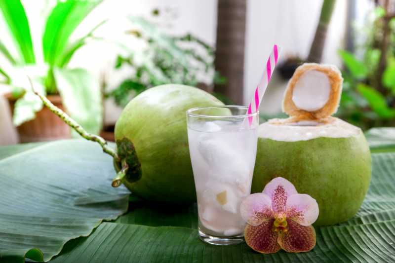 4 Kreasi Resep Es Kelapa Muda Segar untuk Melepas Dahaga