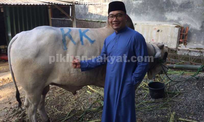 Gagal Beri Nama Syahrini, Ridwan Kamil Namai Sapi Kurban Miliknya Syahrono Gagal Beri Nama Syahrini, Ridwan Kamil Namai Sapi Kurban Miliknya Syahrono