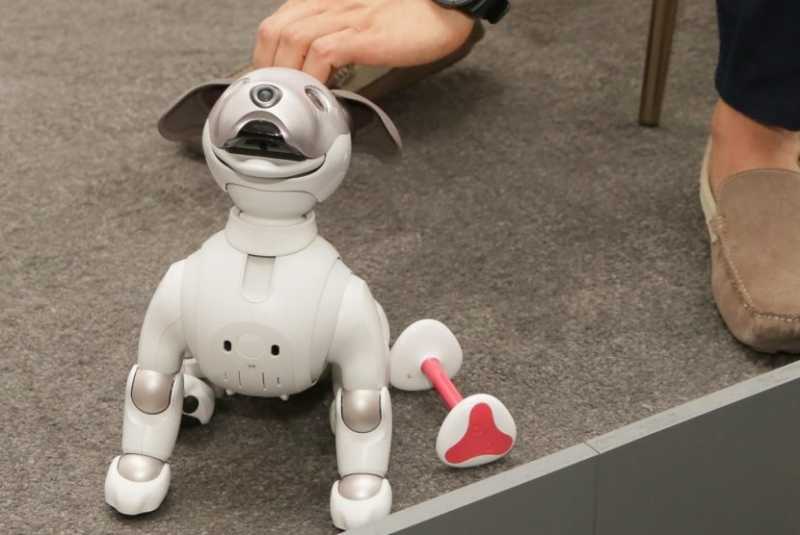 Robot Aibo Diprediksi Menjadi Gadget Paling Lucu di 2018 Robot Aibo Diprediksi Menjadi Gadget Paling Lucu di 2018